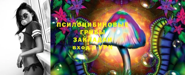 амф Новокубанск