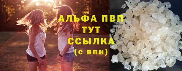 амф Новокубанск